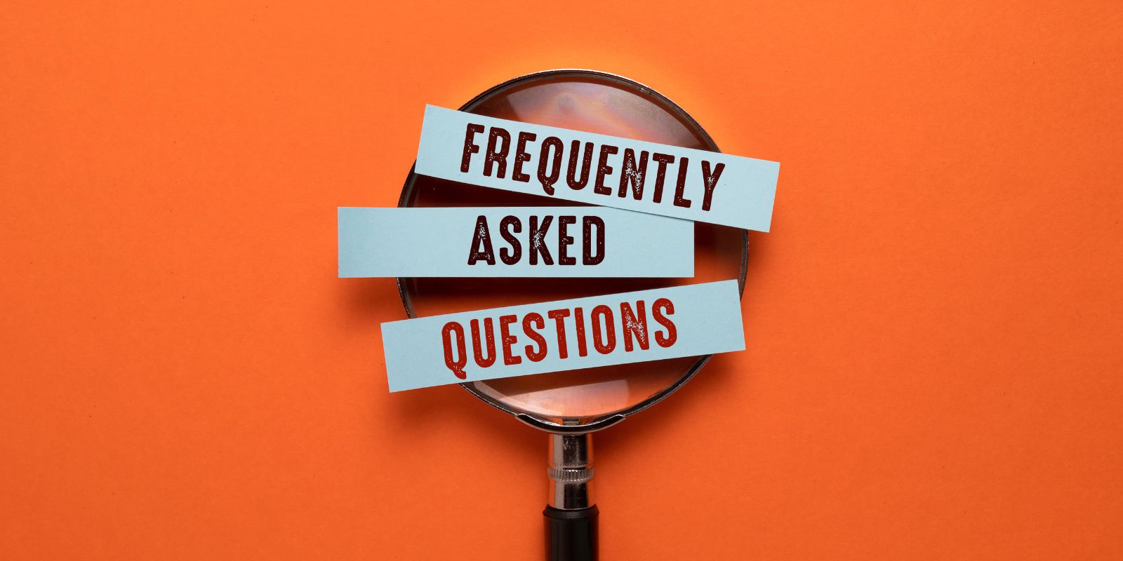 Fantasy Web Writing Support